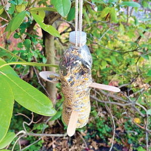 A plastic water bottle turned into a bird feeder that is hanging from a tree